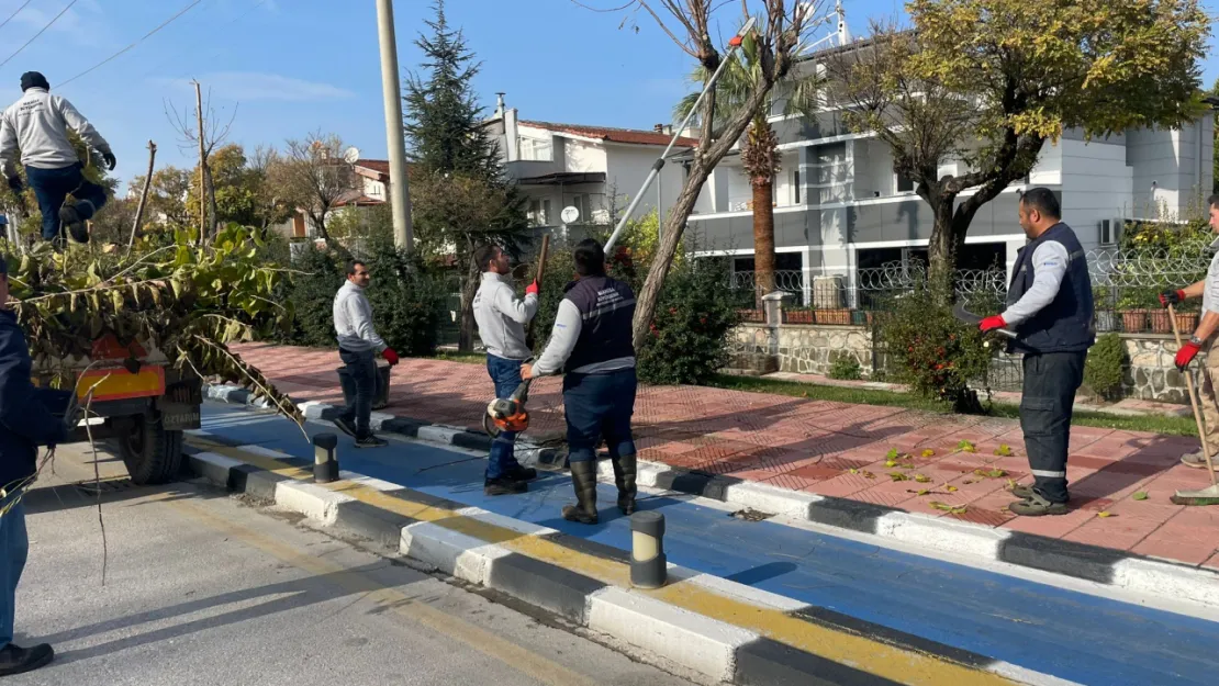 Büyükşehir Kent Genelinde Budama Çalışmalarına Devam Ediyor