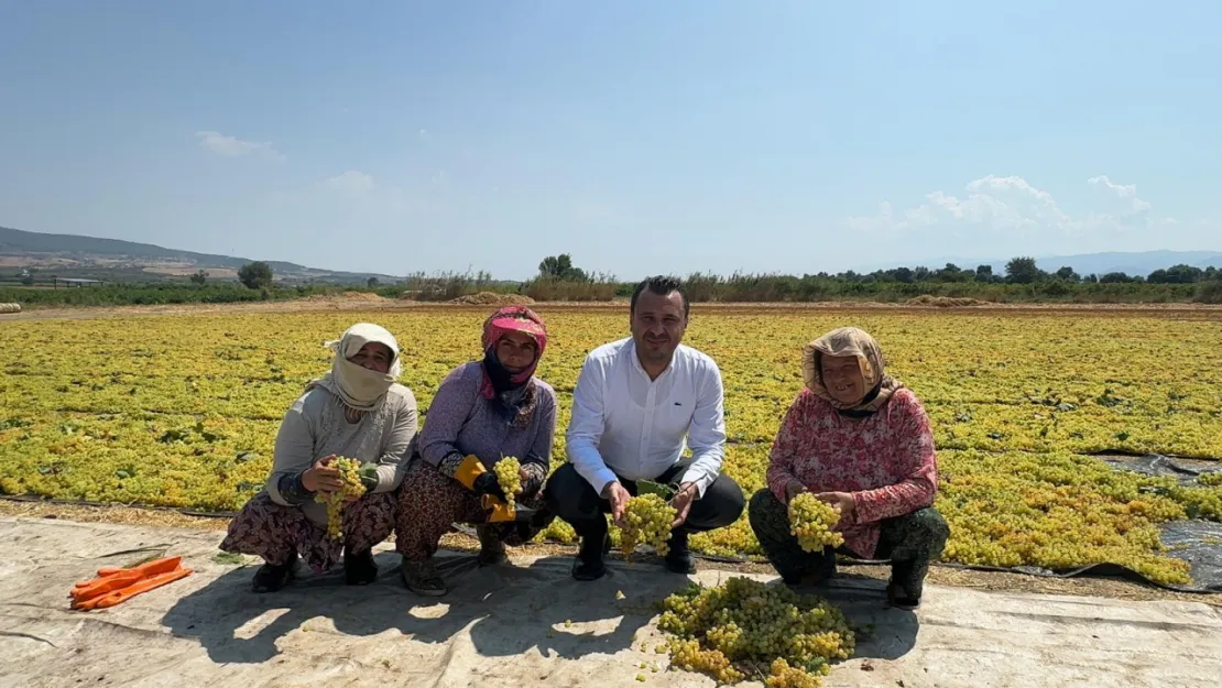 CHP'li Başevirgen'e Dert Yanan Üzüm Üreticisi: 'Koca Bir Yılımız Da Gitti'