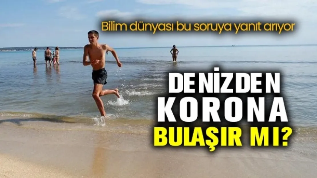 Denizden korona bulaşır mı? Bilim dünyası bunu tartışıyor