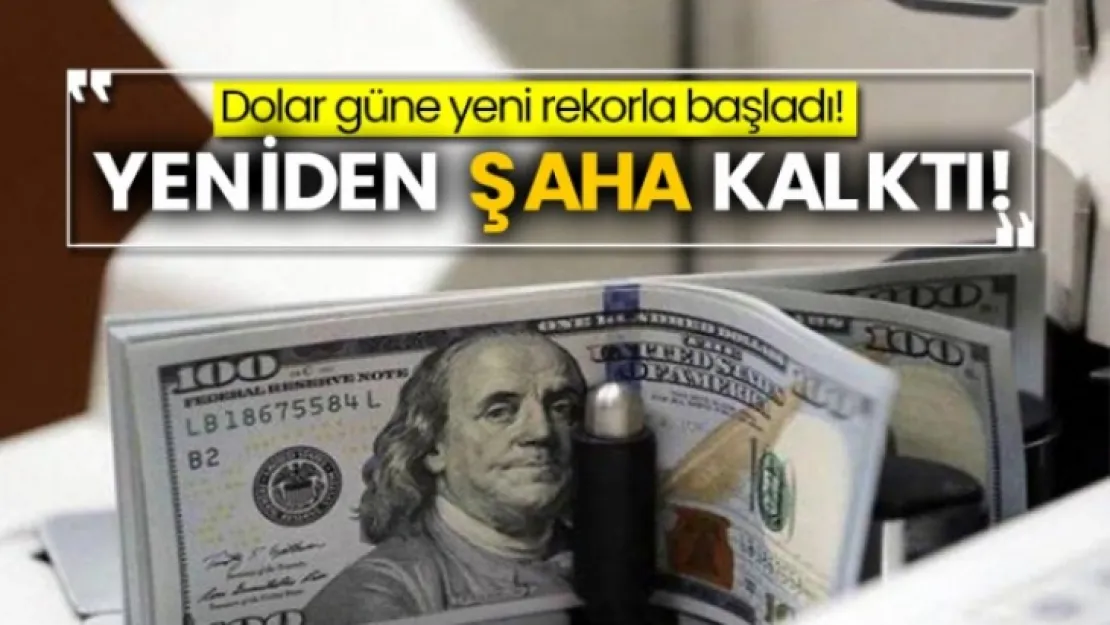 Dolar Yeniden şaha kalktı!