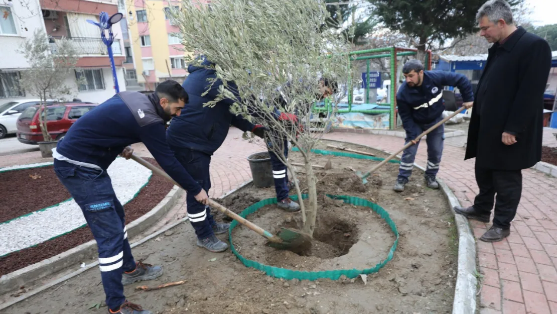 Hem Doğaya Katkı Hem Estetik Görünüm İçin Kuru Peyzaj