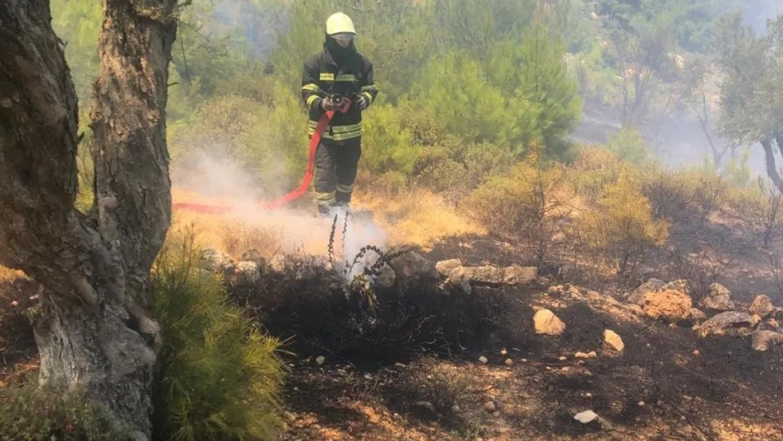 Korkutan yangınlara Büyükşehir'den kısa sürede müdahale