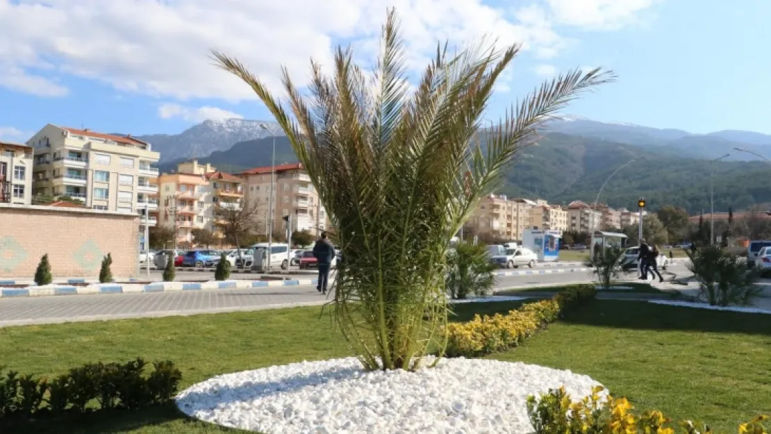 Kış Mevsiminde Baharın Güzelliği