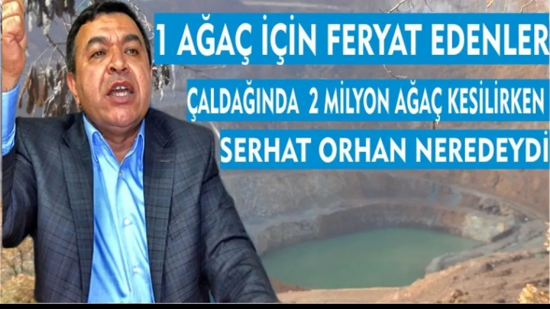 ÇALDAĞINDA 2 MİLYON AĞAÇ KESİLİRKEN SERHAT ORHAN NEREDEYDİ