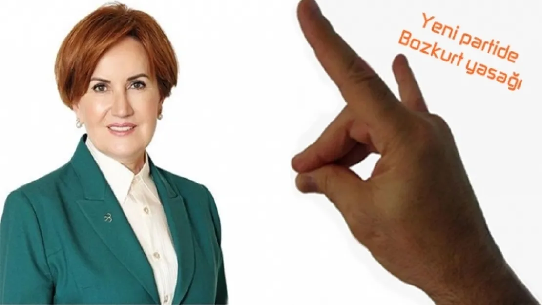 Akşener'in yeni partisinde bozkurt yasağı