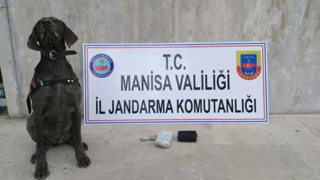 220 gram toz Esrar maddesi ele geçirildi