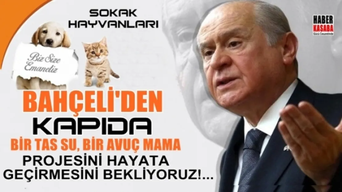BİR TAS SU, BİR AVUÇ MAMA' projesi hayata geçirilmelidir...