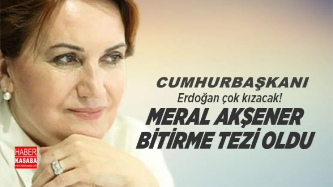 Akşener bitirme tezi oldu