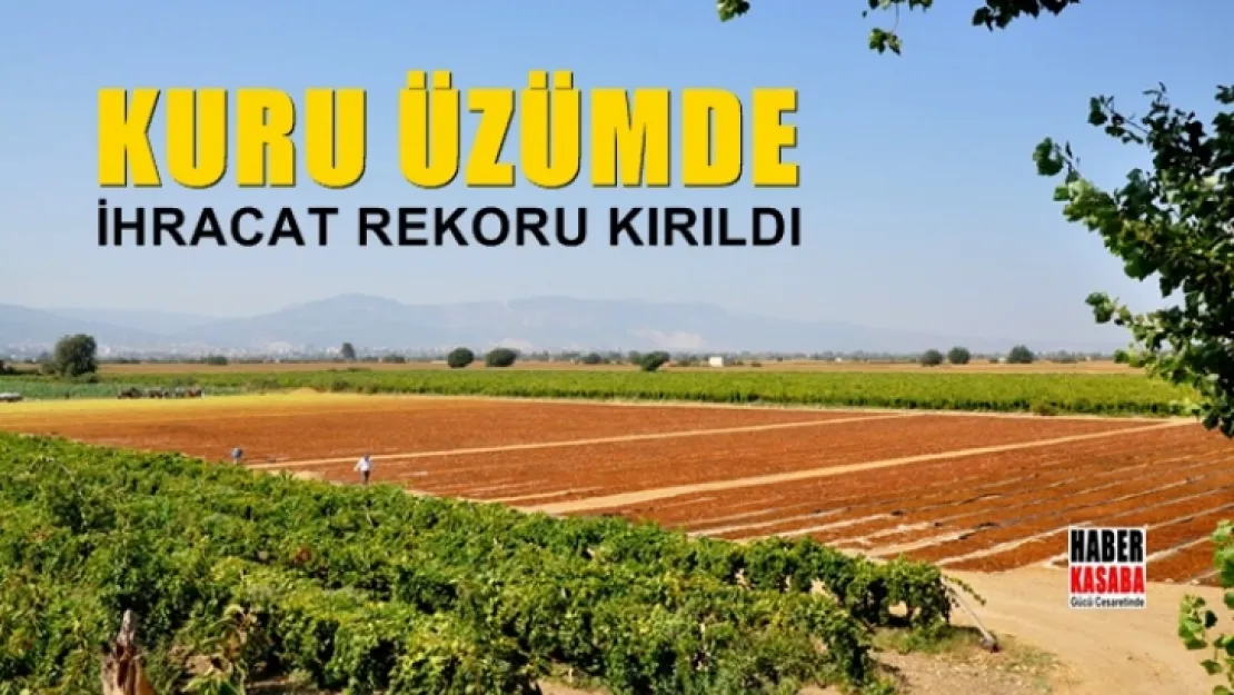 Kuru Üzümde İhracat Rekoru