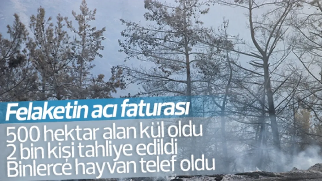 Yangın felaketinin acı faturası ortaya çıktı
