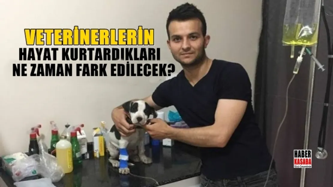 Veterinerlerin hayat kurtardıkları ne zaman fark edilecek?