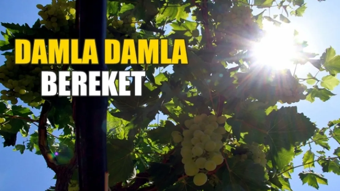 Damla Damla bereket