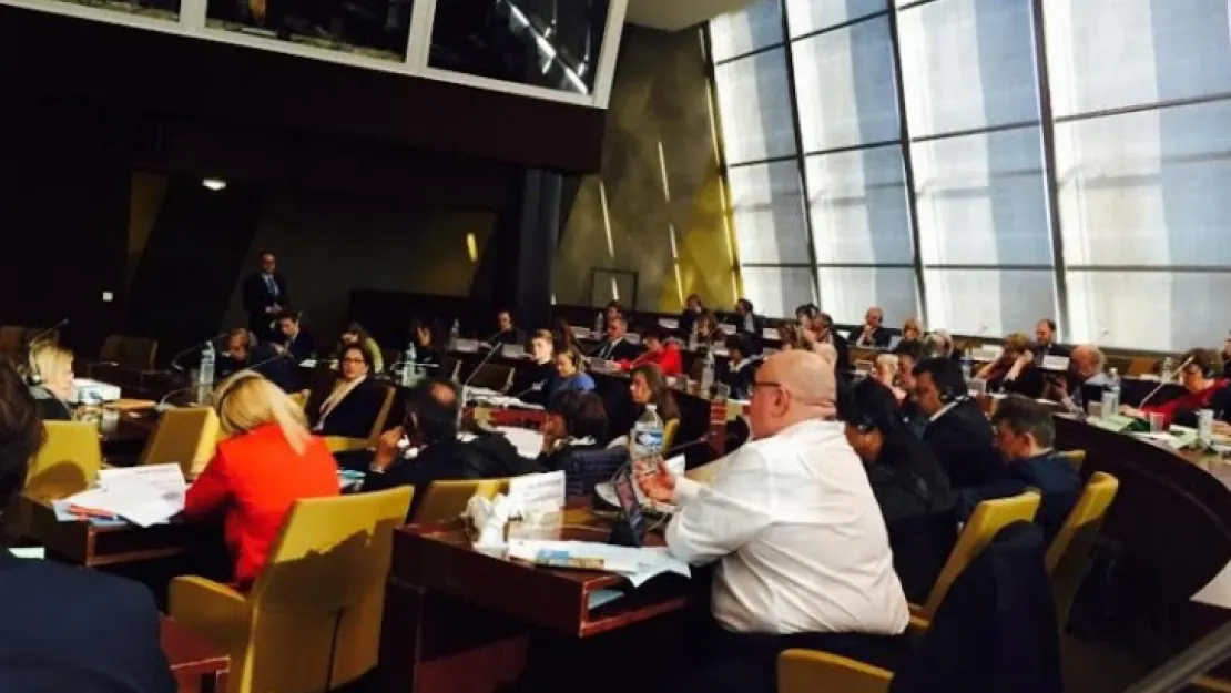 Ensivri Manisa'yı Avrupa'da Temsil Etti