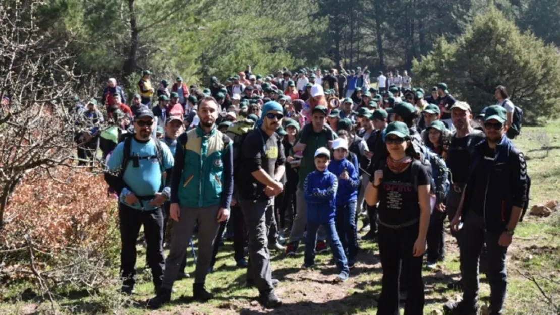 ZİRVE YOLUNDA DOĞA YÜRÜYÜŞÜ