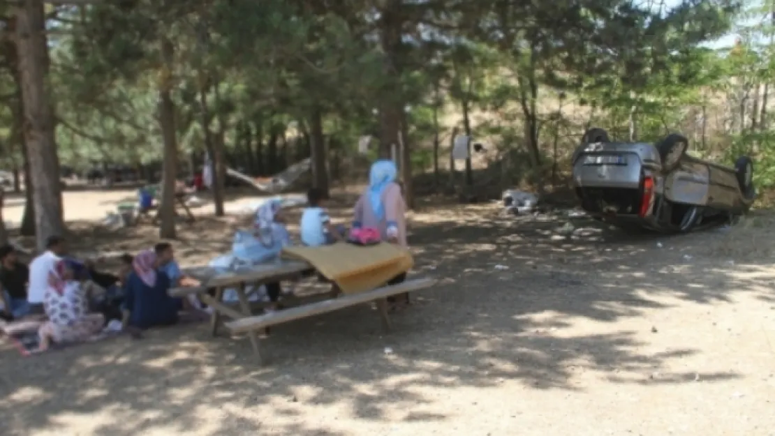 Yanlarına otomobil uçtu fakat onlar pikniğe devam etti