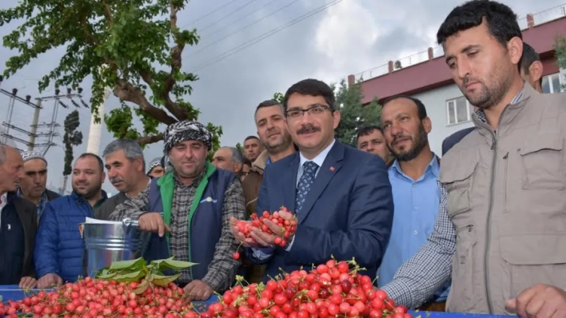 Kuzey yarım kürenin ilk kiraz 200 TL' ye satıldı