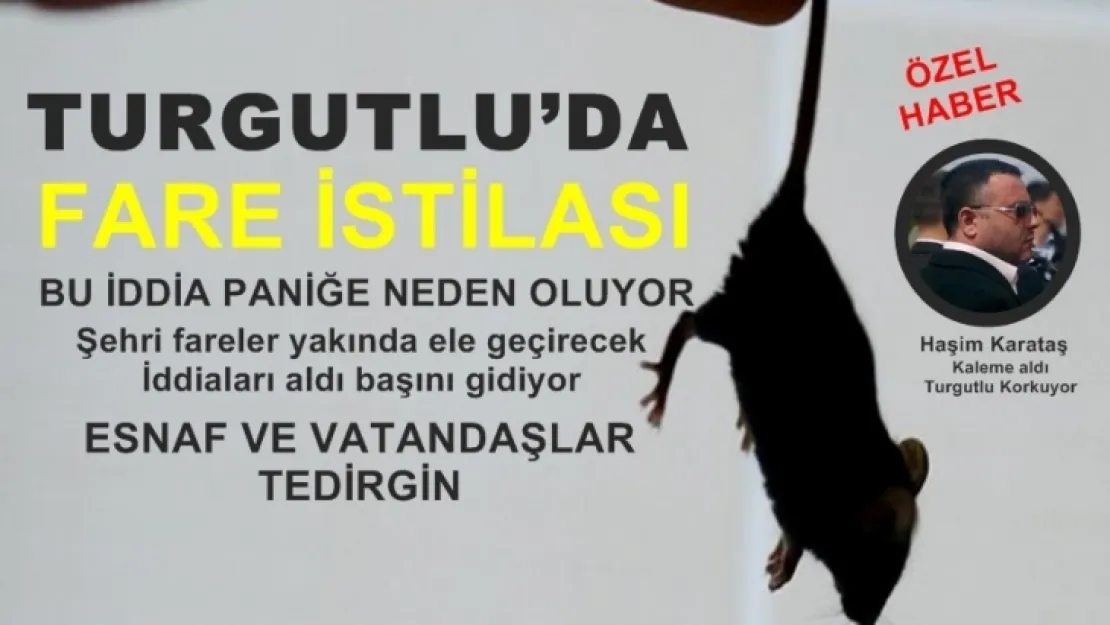 TURGUTLU'DA FARE İSTİLASI