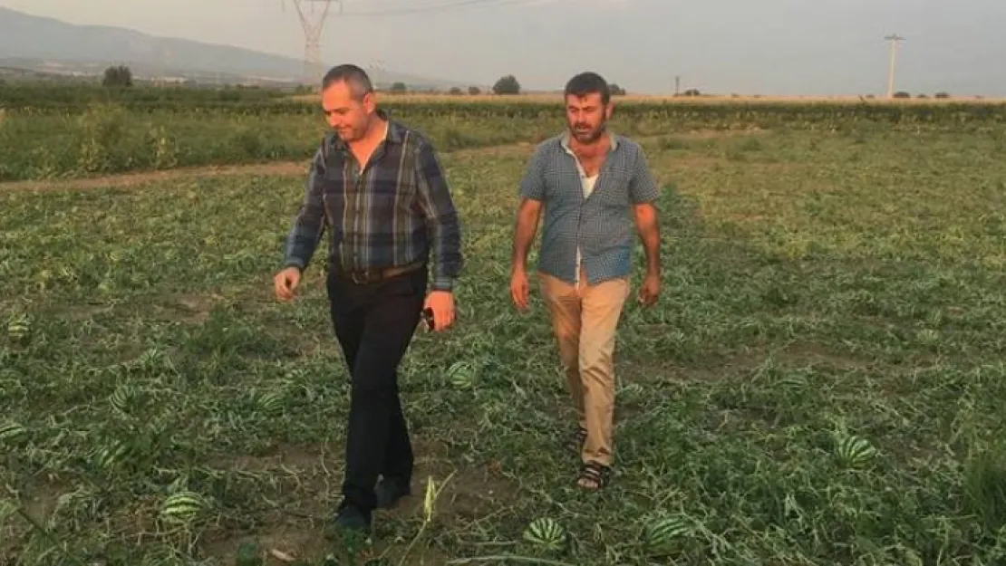 Başkan Sayar,'' Zarar gören arazileri dolaştı