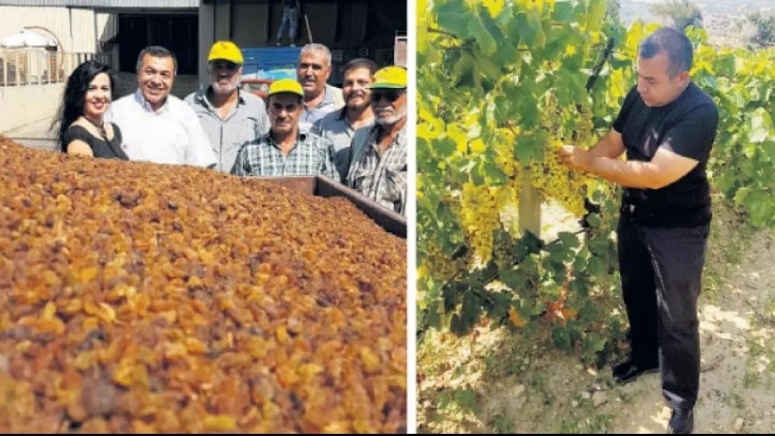 Orhan, Yerki Verilirse,''Turgutlu'yu Şaha kaldırırım''