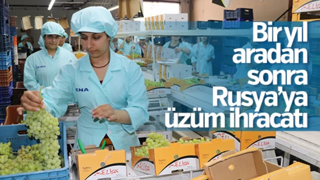 Avrupa ve Rusya'ya üzüm taşıyan tırlar yola çıktı