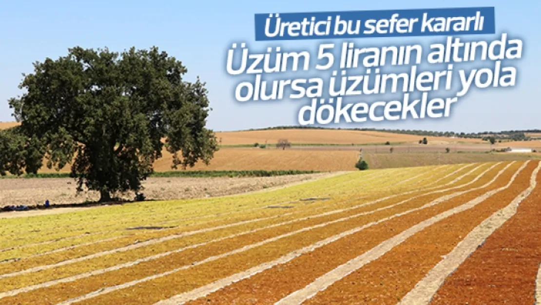Üzüm üreticilerinin hükümetten taban fiyat talebi