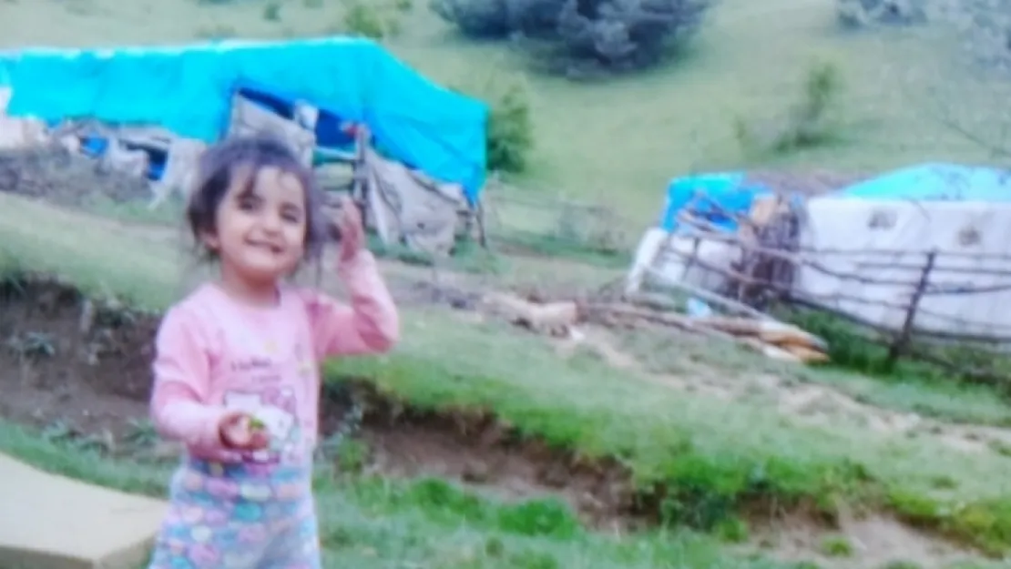 Küçük Evrim'i arama çalışmaları devam ediyor