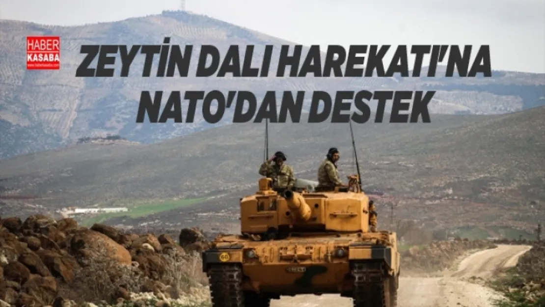 NATO'dan Zeytin Dalı Harekatı'na Destek