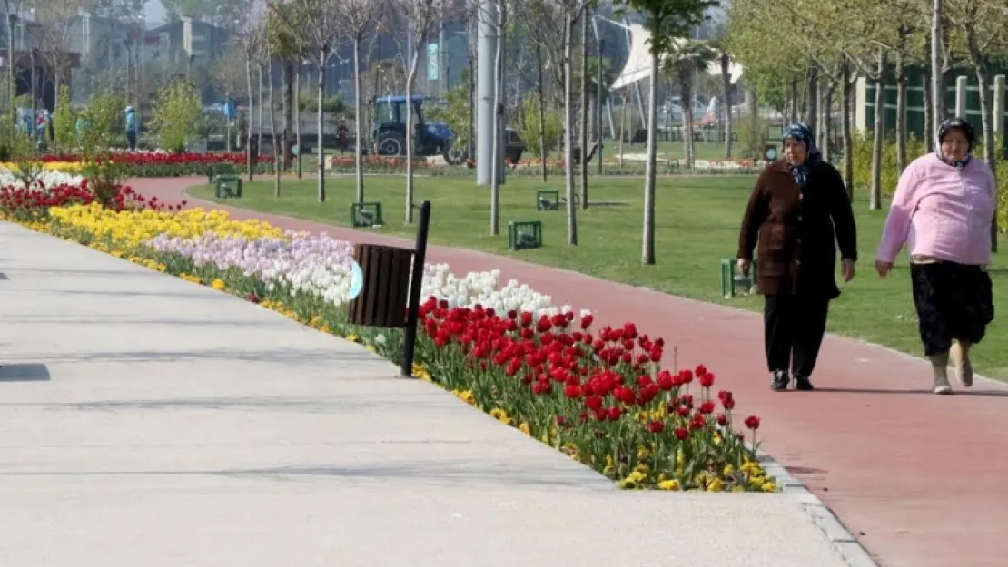 Manisa Baharın Renklerini Taşıyor