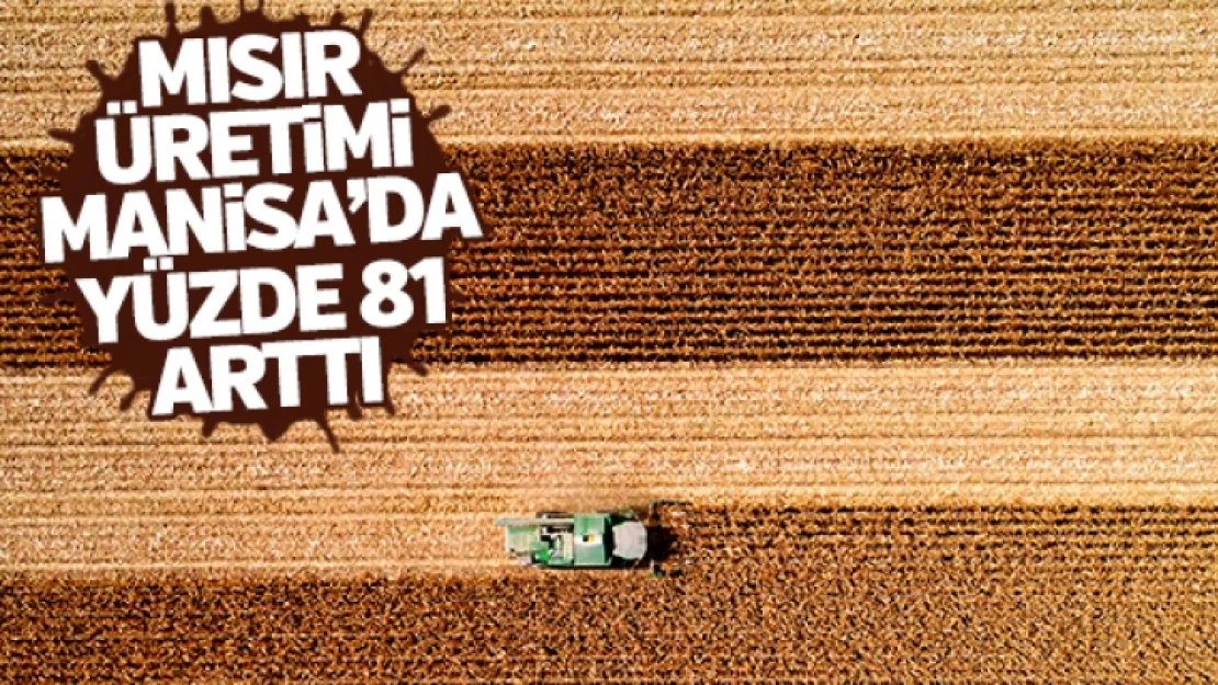 Beyaz et sektörü büyüdü, mısır üretimi yüzde 81 arttı
