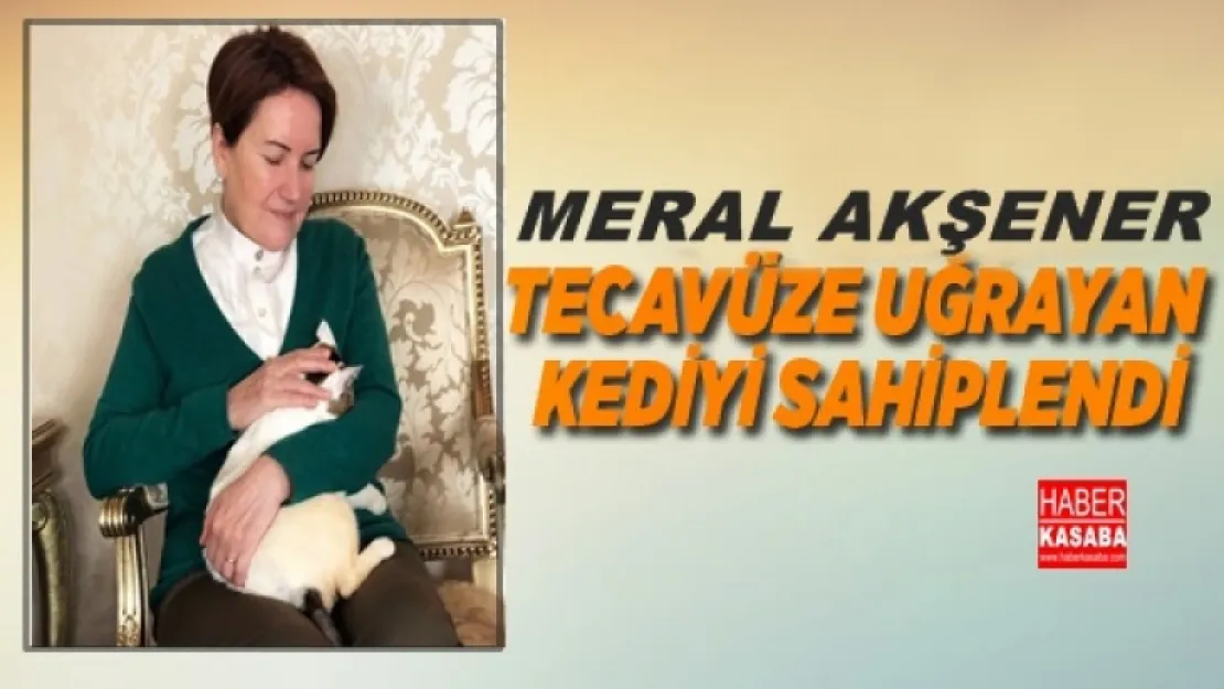 Akşener, tecavüze uğrayan kediyi sahiplendi