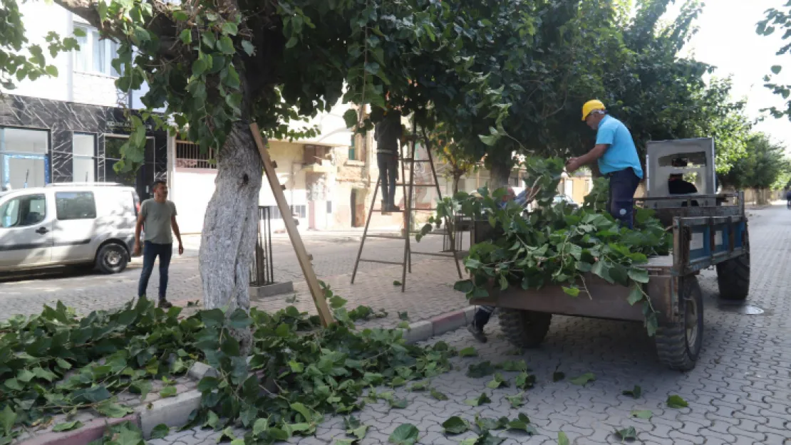 Park ve Bahçeler Müdürlüğü Ekiplerinden Yoğun Mesai