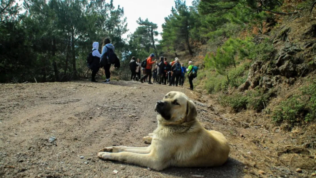 TURBELDAK Dereköy-Yukarı Kızılca Parkurunu Tamamladı