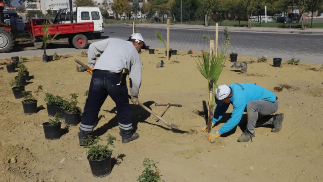 Turgutlu Belediyesi Park ve Bahçeler Müdürlüğü Ekiplerinden Kapsamlı Çalışma