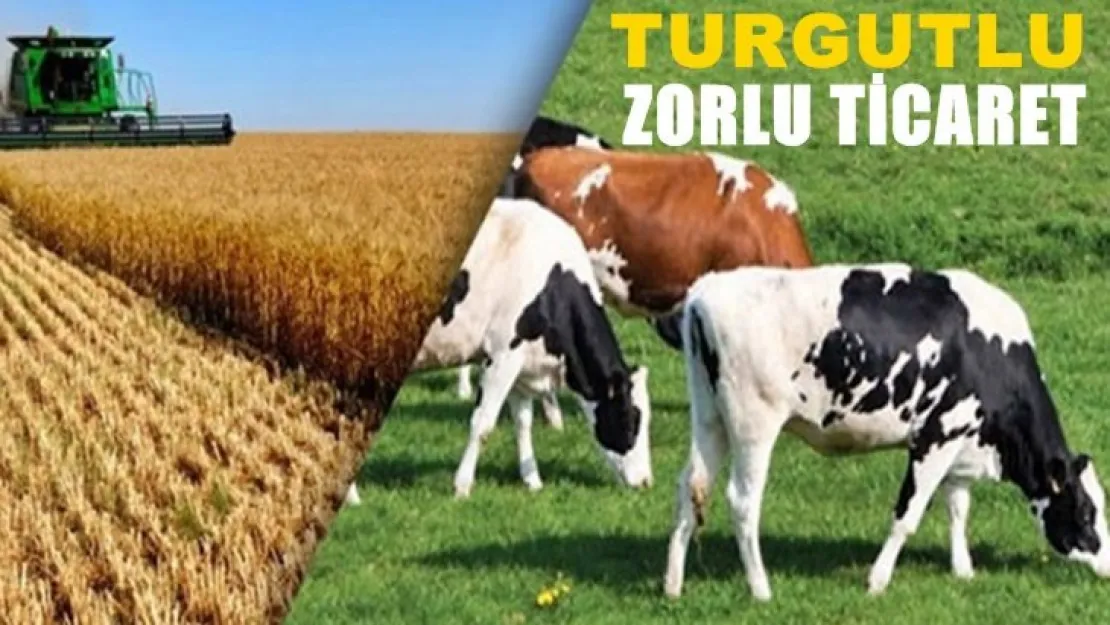 Turgutlu Zorlu Ticaret den Ramazan Bayramı Mesajı