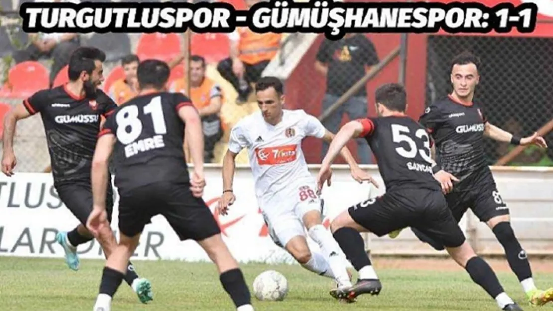 Turgutluspor: 1 Gümüşhanespor: 1