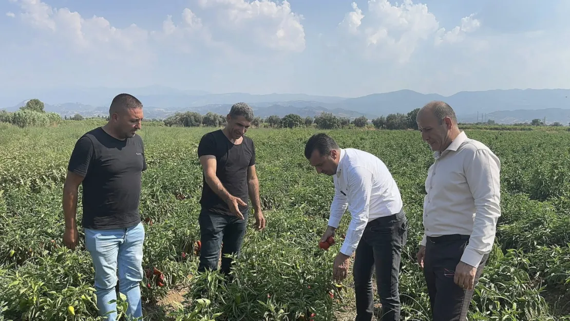 Üretimi Bırakma Noktasına Gelen Çiftçi, CHP'li Başevirgen'e İsyan Etti: 'Bu Düzen Çiftçiyi Bitirir'