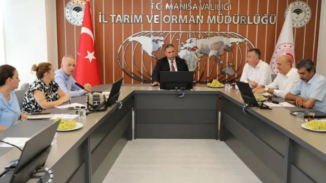 Üzüm Rekolte Tahmin Komisyonu Manisa İl Tarım ve Orman Müdürü Mehmet Karayılan'ın başkanlığında toplandı.