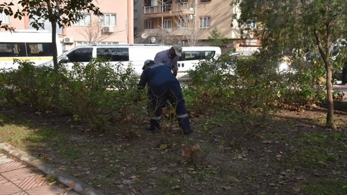 Yunusemre'de Parkların Bakımı Yapılıyor