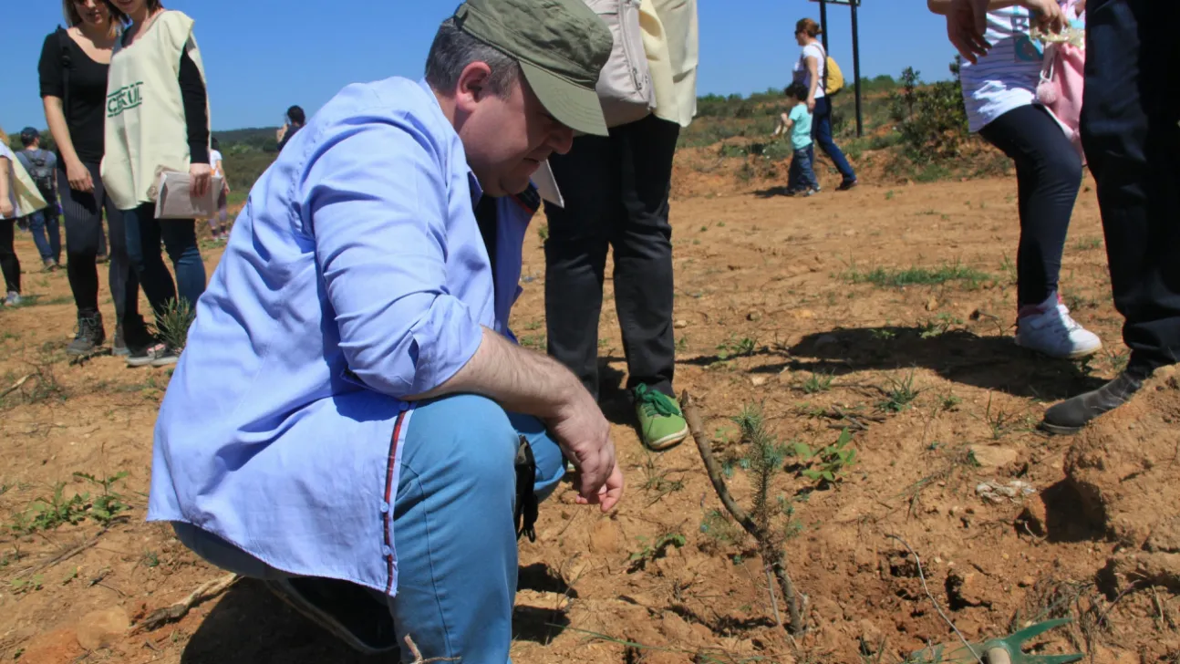 Babalar Gününde 'ÇEKÜL 7 Ağaç Ormanları' ile Umutları Yeşertin!