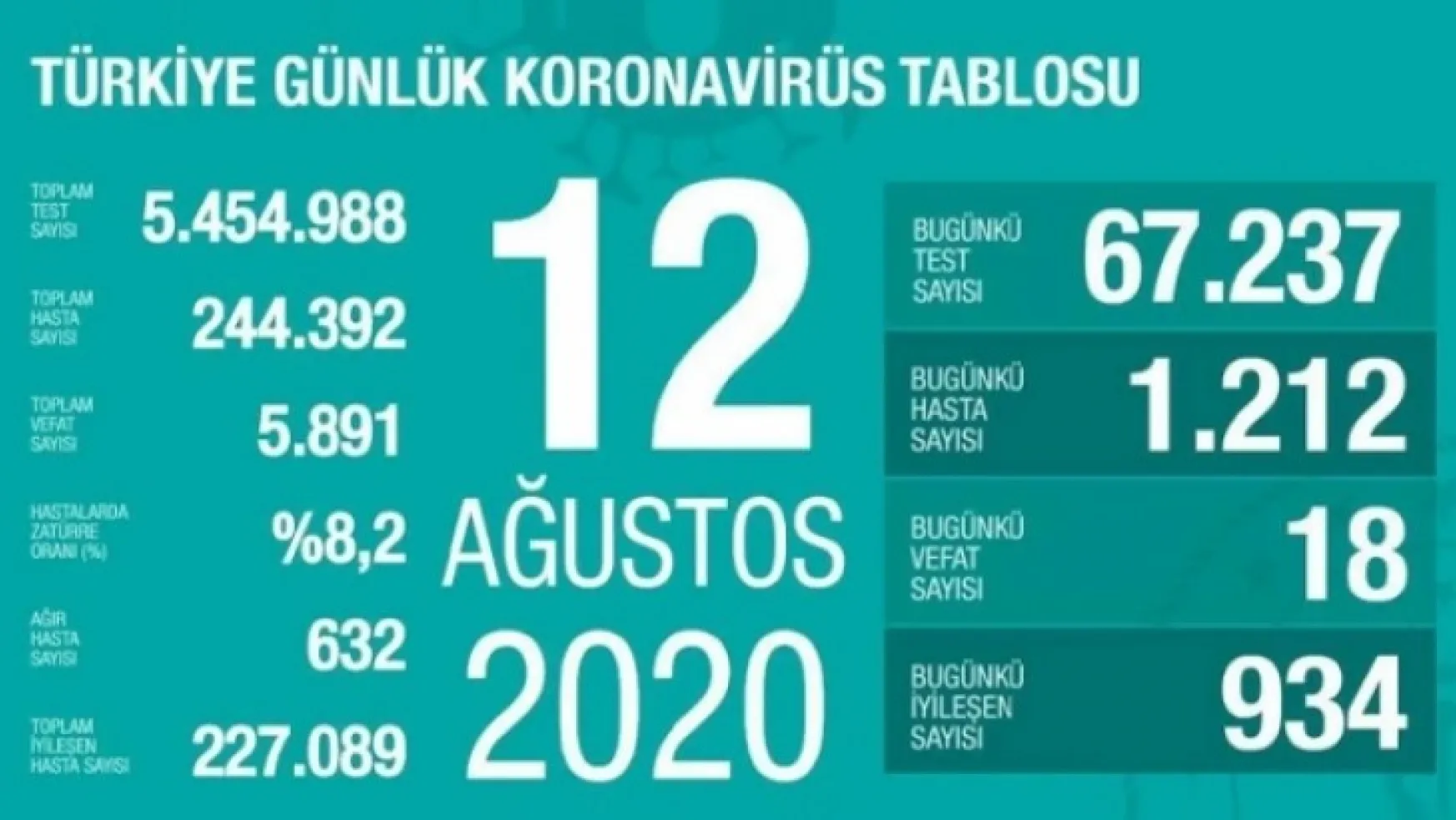 12 Temmuz 2020 Türkiye'de koronavirüs sonuçları açıklandı