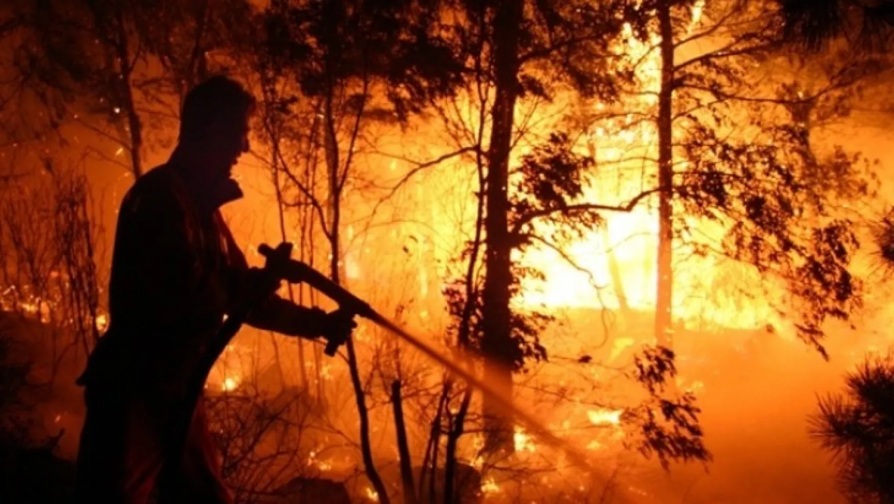 Bakanlık 81 İl Valiliğine Ormanlık Alanlarda Ateş Yakılmaması Genelgesi gönderdi