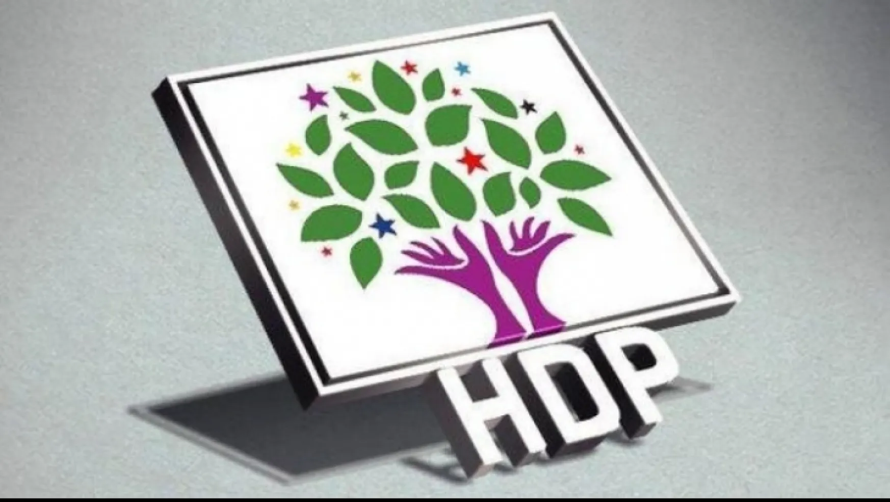 HDP'den Hasip Kaplan açıklaması geldi