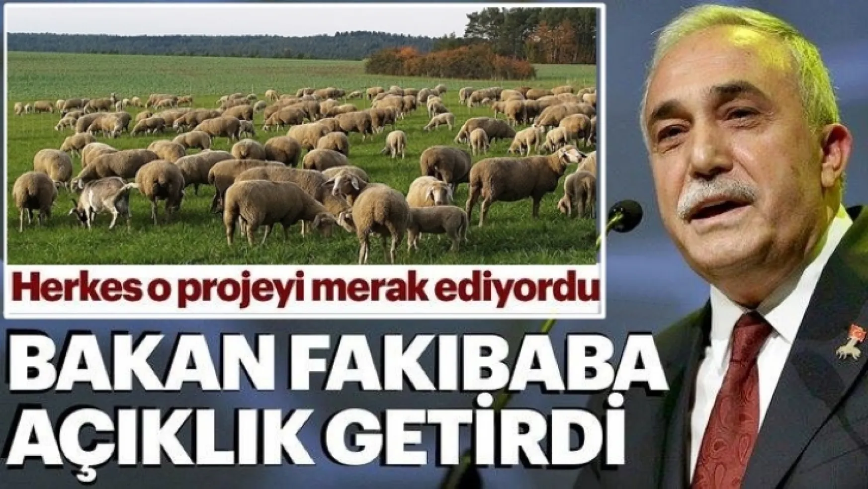 Bakan Fakıbaba '300 koyun' projesine açıklık getirdi