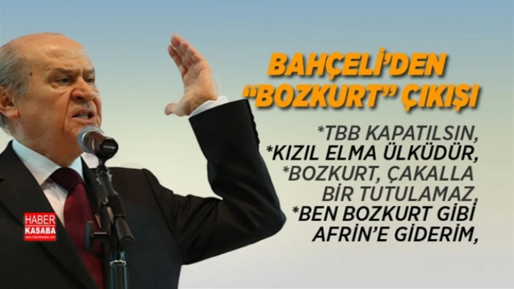 MHP Lideri Bahçeli'den 'Bozkurt' çıkışı