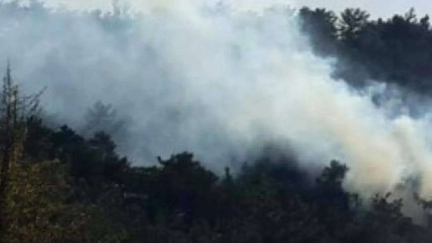 Turgutlu'da korkutan orman yangını!