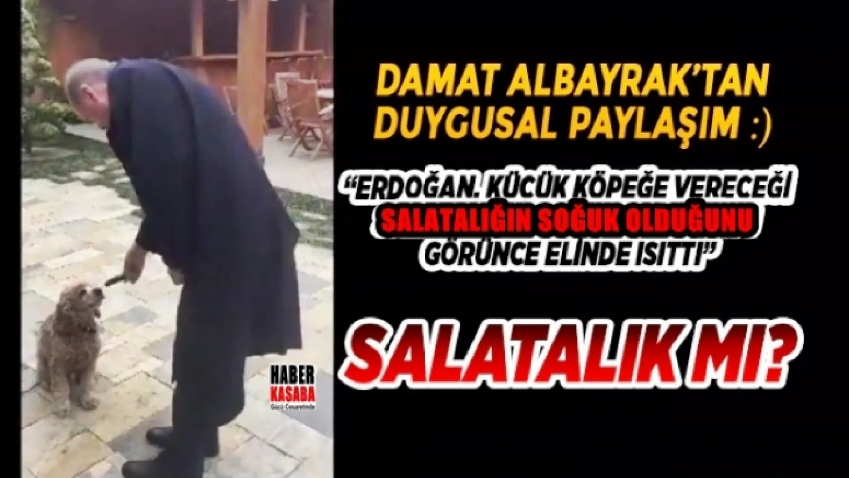 Damat Albayrak'dan duygusal bir paylaşım: Erdoğan, küçük köpeğe vereceği salatalığın soğuk olduğunu görünce elinde ısıttı'