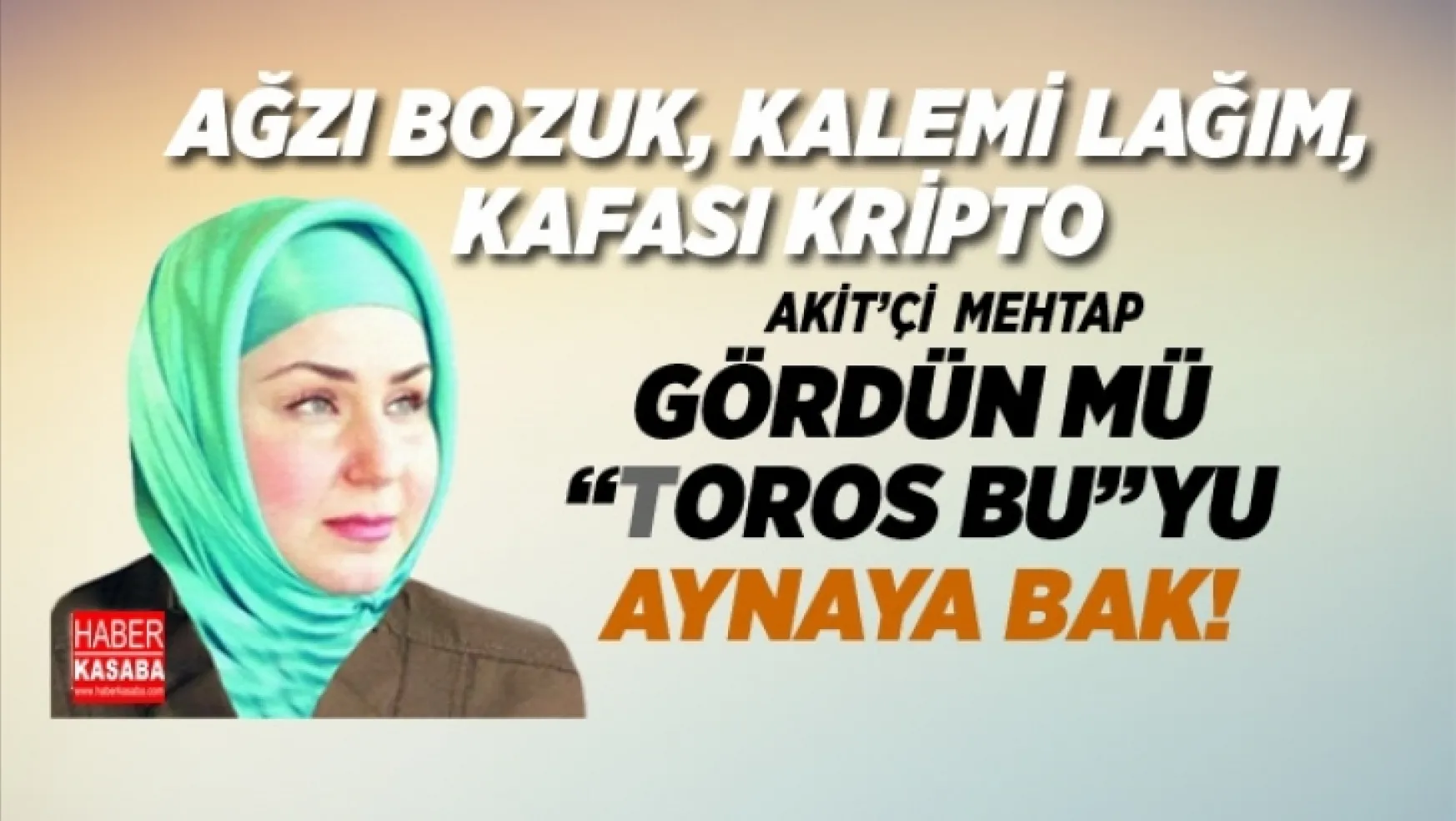 AK Parti'li Şamil Tayyar Akit'ci Mehtap Yılmaz'ın FETÖ maillerini yayınladı