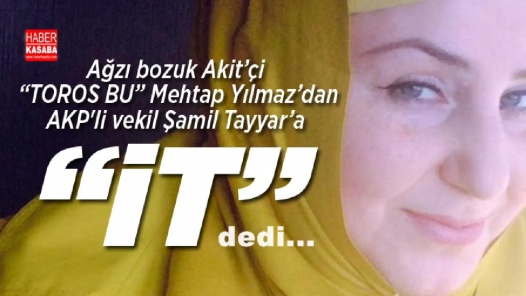 Ağzı bozuk Akit'çi 'TOROS BU2 Mehtap Yılmaz AKP'li vekile 'İT' dedi