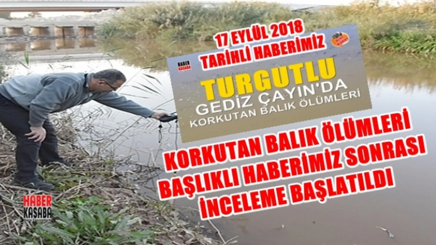 Haberimiz Ses Getirdi Turgutlu'da ki Balık Ölümleri İncelemeye alındı