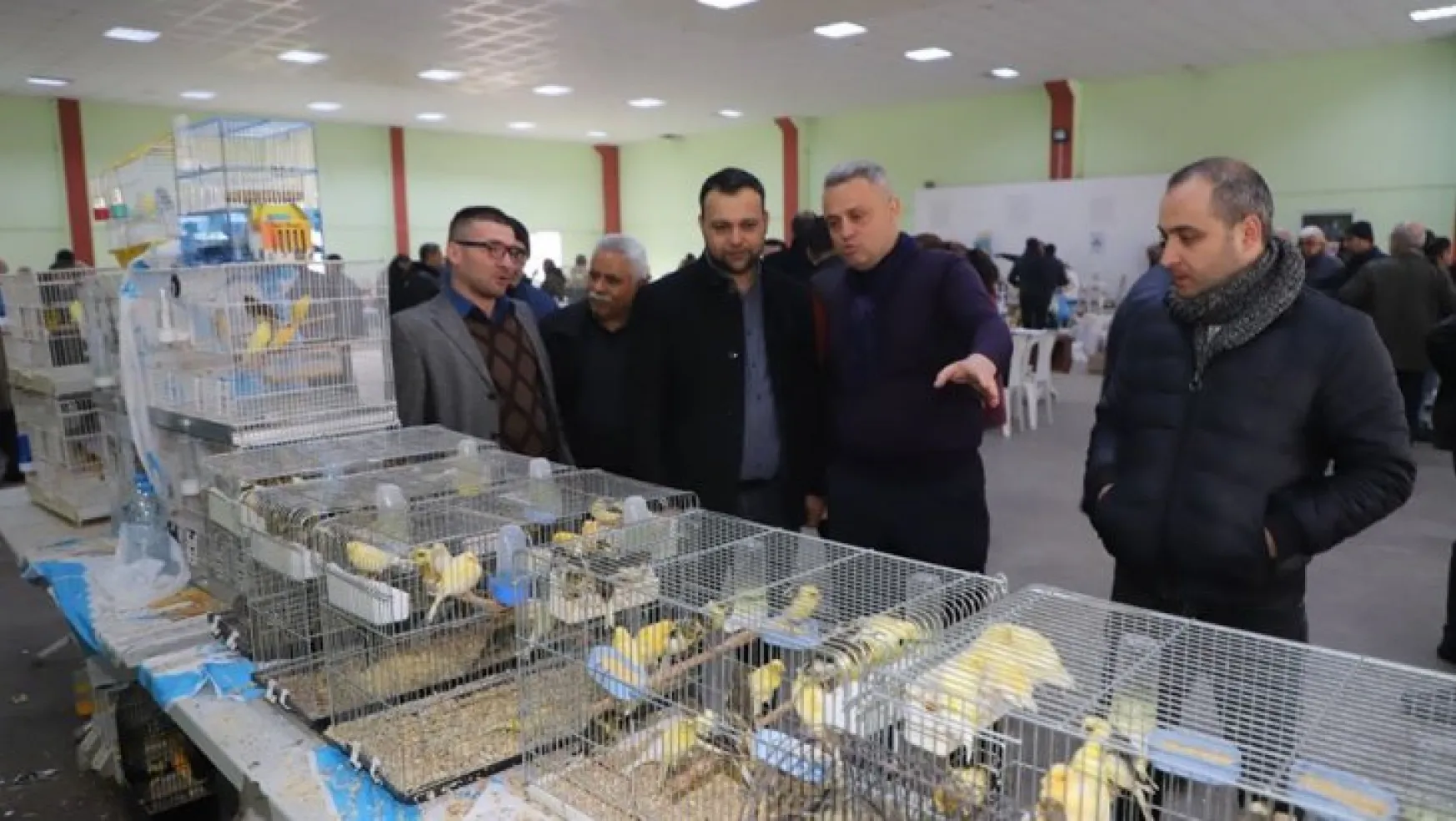 Turgutlu'da 2'ncisi düzenlenen kuş pazarına büyük ilgi